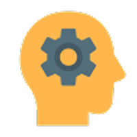 Hands-on learning